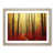 Oak Framed selected