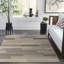Tapis intérieur / extérieur Camina Bands-1913771779