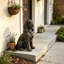 Statue réaliste de cocker spaniel assis, finition bronze-1865567732