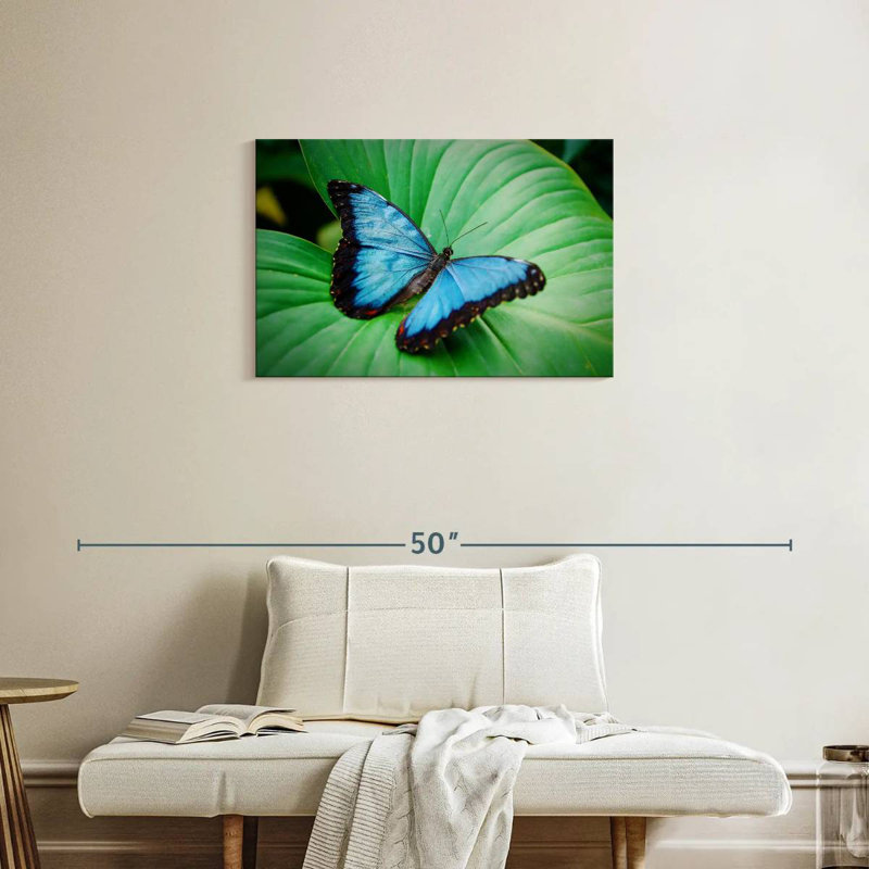 Blue Morpho On Leaf, 20" H x 30" W