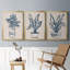 «Marine Plant Sketches I», toile encadrée de qualité supérieure - prête à être accrochée-69982681-69982682