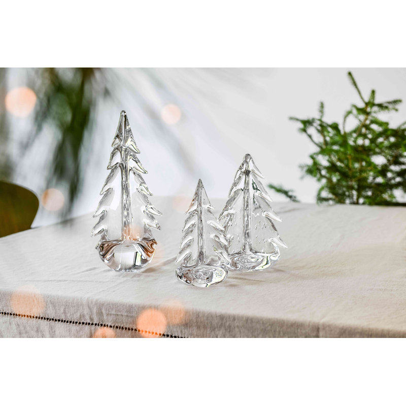 Vermont Evergreen, 4 inch