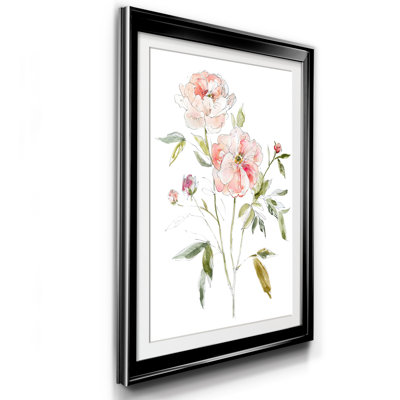 " Sketchbook Cottage Rose I " Painting Print