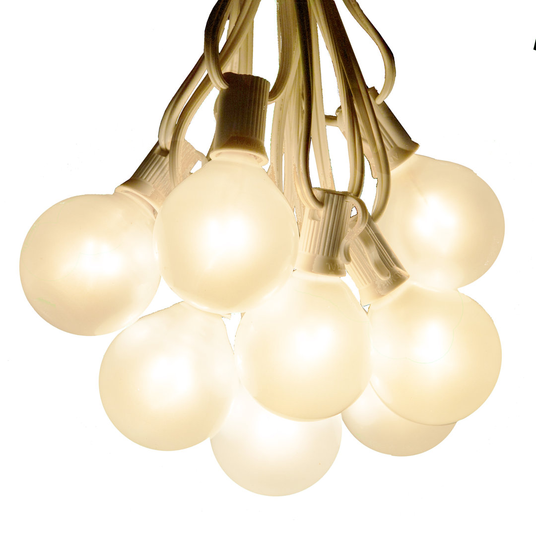 Raposa 100' Outdoor 100 - Bulb Globe String Light Alcott Hill® Cord 