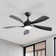 Damecia 52'' Modern Ceiling Fan with LED Light and Remote Control
