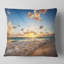 Coussin de mer pour les caraïbes de mer sur la plage du soleil-29602185-29602189