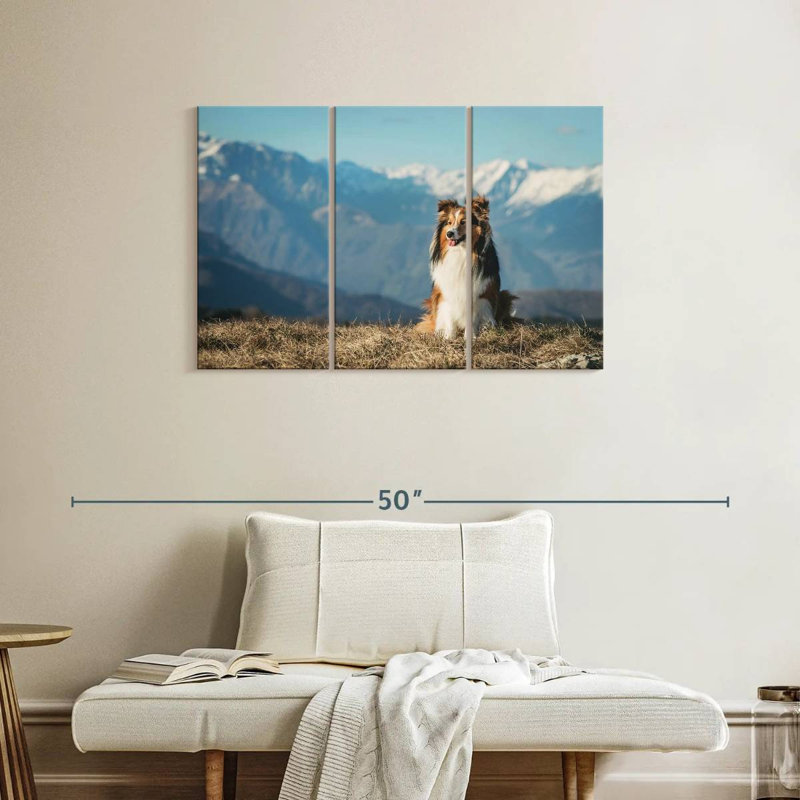 Brampt Shetland Sheepdog, 24" H x 38" W