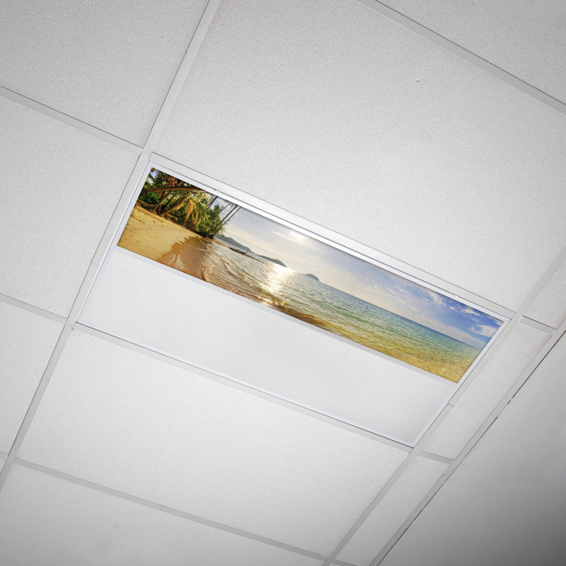Beach Rectangle Fixture Component Ceiling Light