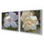 Ensemble de 2 impressions sur toile Graceful Peony Bloom, 16 po x 16 po-369043176-369043189
