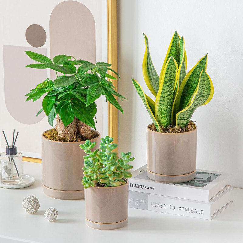 Set of 3 Ceramic Plant Pots 4.25+5.25+6.25" with Drainage, Indoor Planters for Plants, Grey