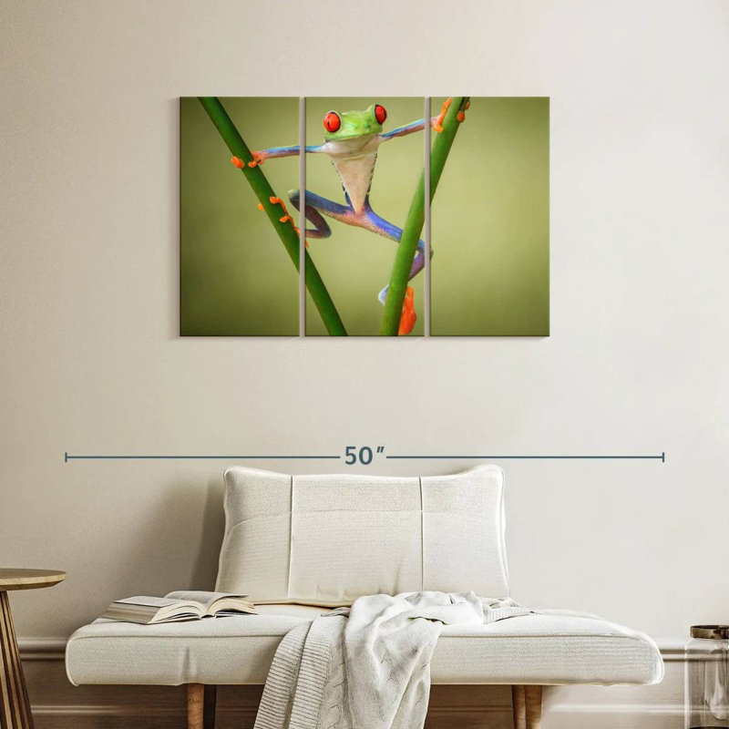Brampt Frog Show Off, 24" H x 38" W