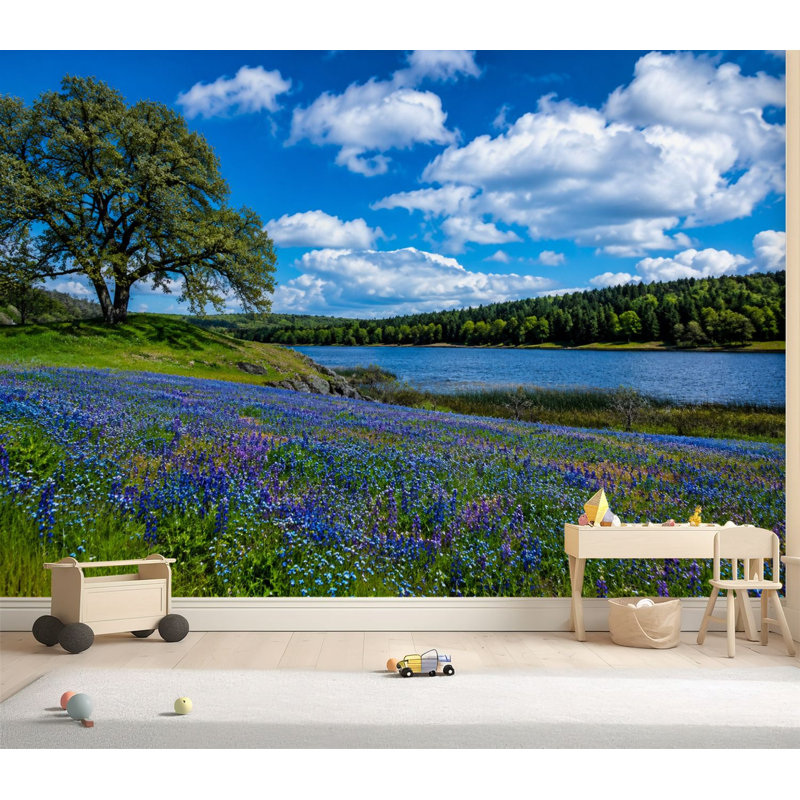 Papier peint adhésif auto-adhésif Texas Bluebonnets, L 69 po x l 96 po