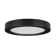Speidel LED Flush Mount
