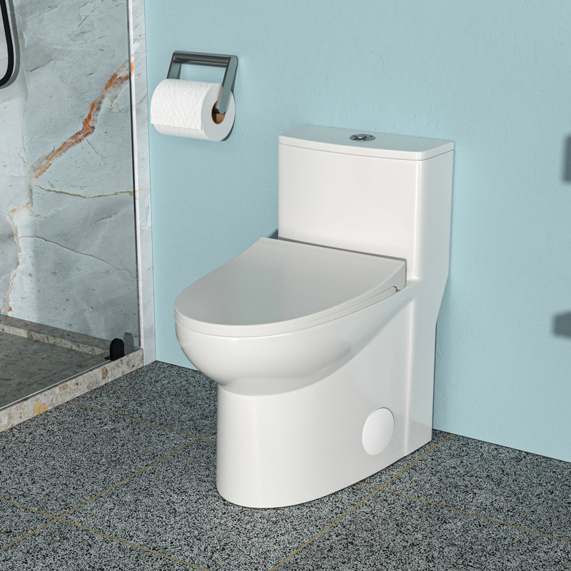 Toilette en céramique avec chasse d'eau douce et siège à fermeture douce et hauteur de chasse double