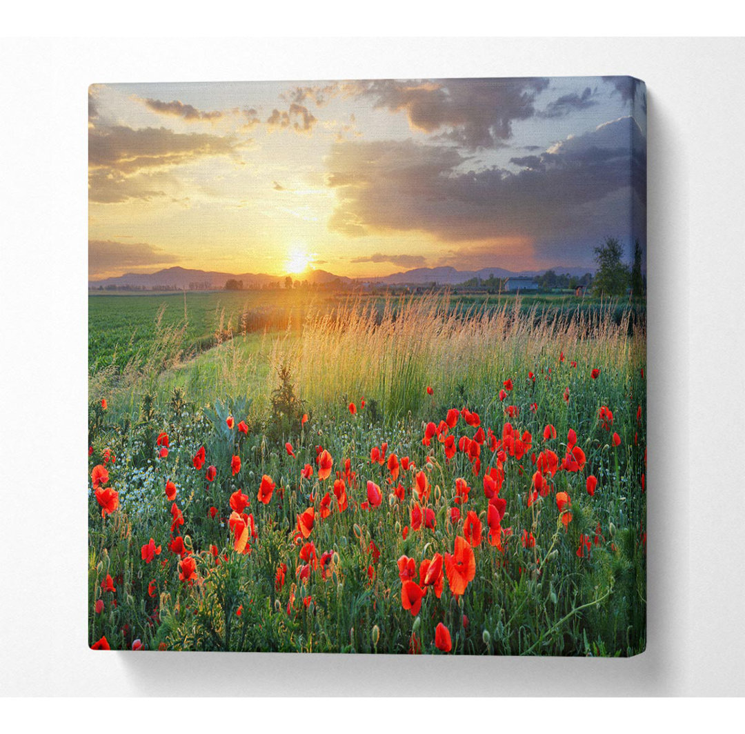 Rote Mohnblumen in der grünen Landschaft Square Canvas Print