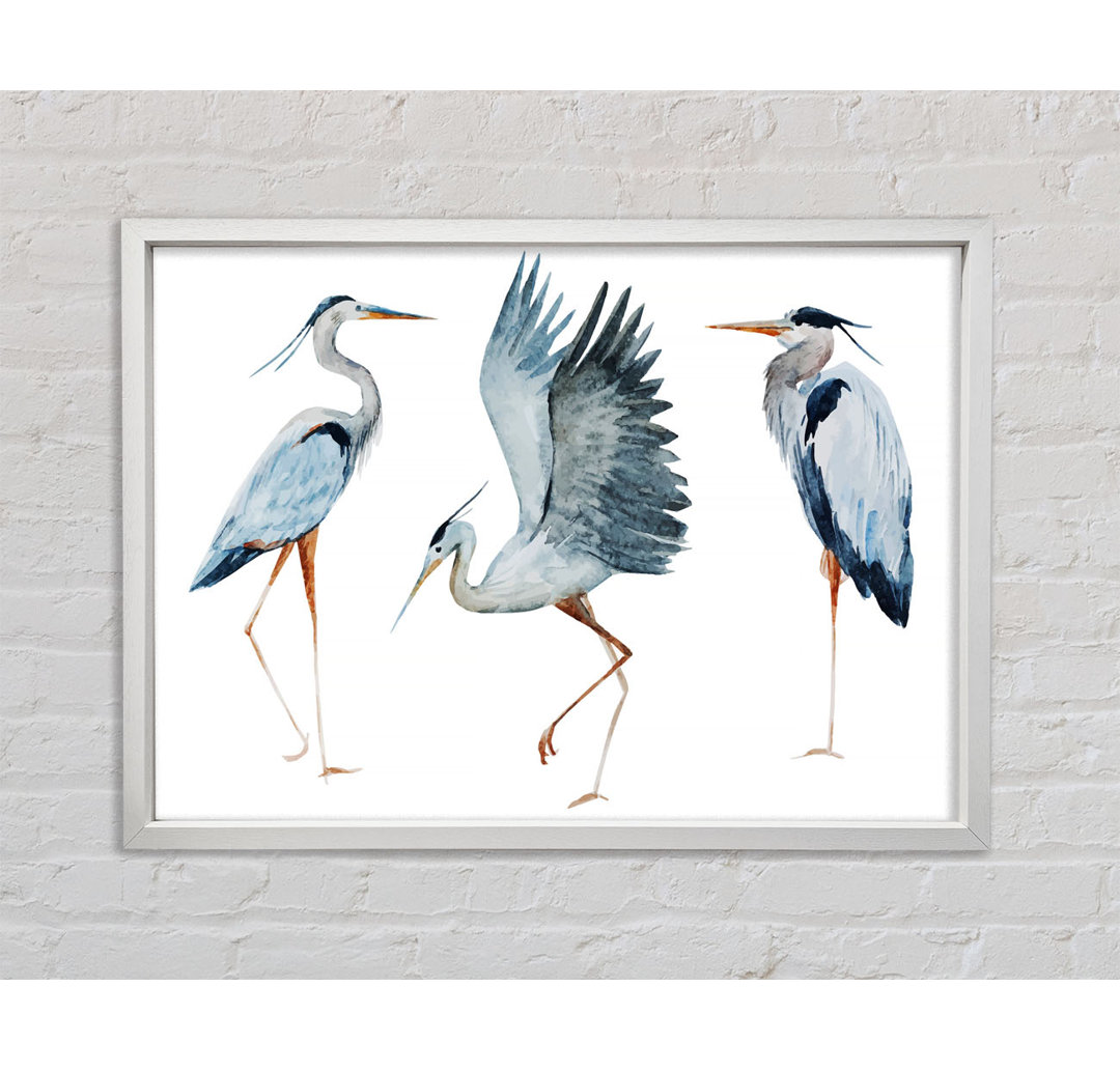 Heron Trio - Einzelner Bilderrahmen Kunstdrucke auf Leinwand