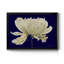 Aglow I - reproduction d'art sur toile-549685947-549685943