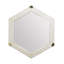 Turtle Mirror - Brass - Pearl