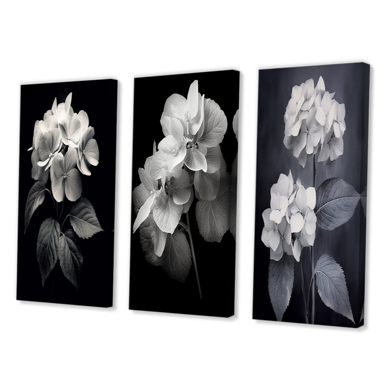«Black White Hydrangea Blooming», 3 pièces sur toile, Toile tendue, H 20 po x l 36 po