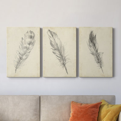 " Feather Sketch II " 3 Piece Art Color Photography Print