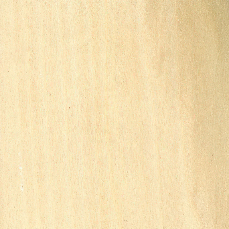 Moulure de teinture pour bois massif WM916, Peuplier
