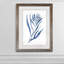 « algues under water iii »-cadre photo imprimé sur verre-2484620-2484618