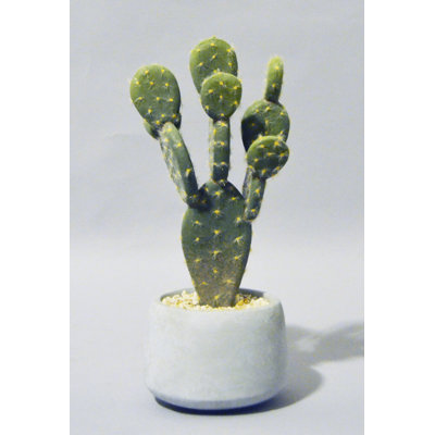 PETIT POT À CACTUS PU, 11''