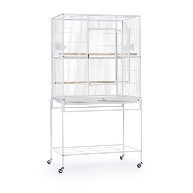 59.25'' Steel Flat Top Floor Bird Cage with Wheels, White