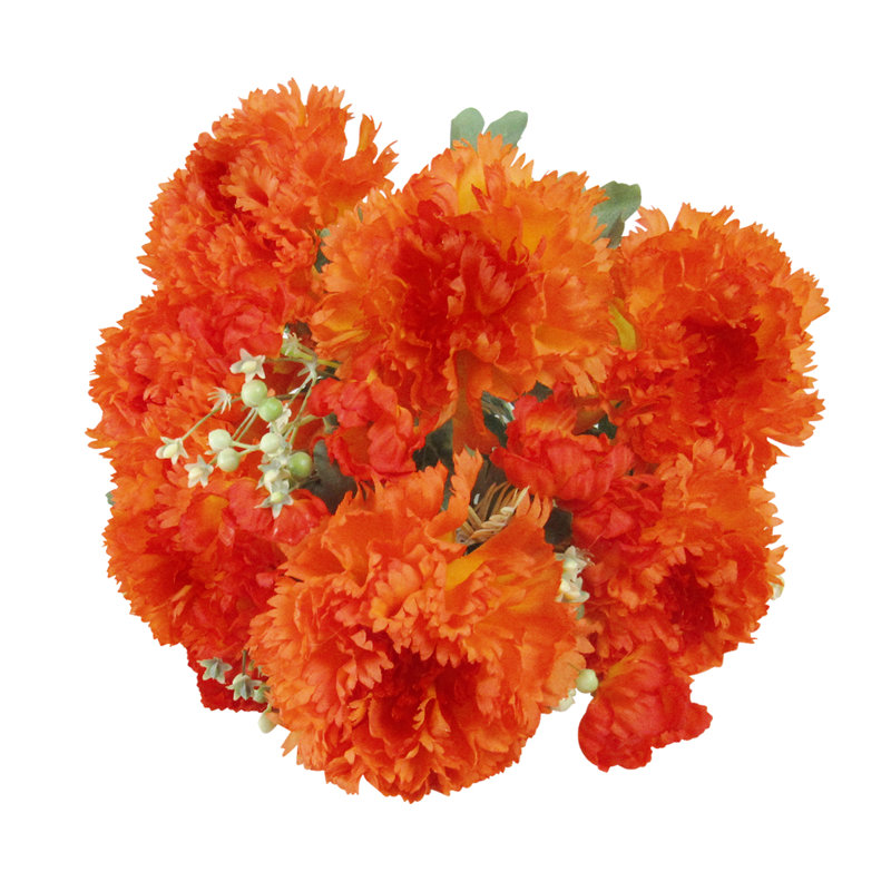 Oeillet, Orange