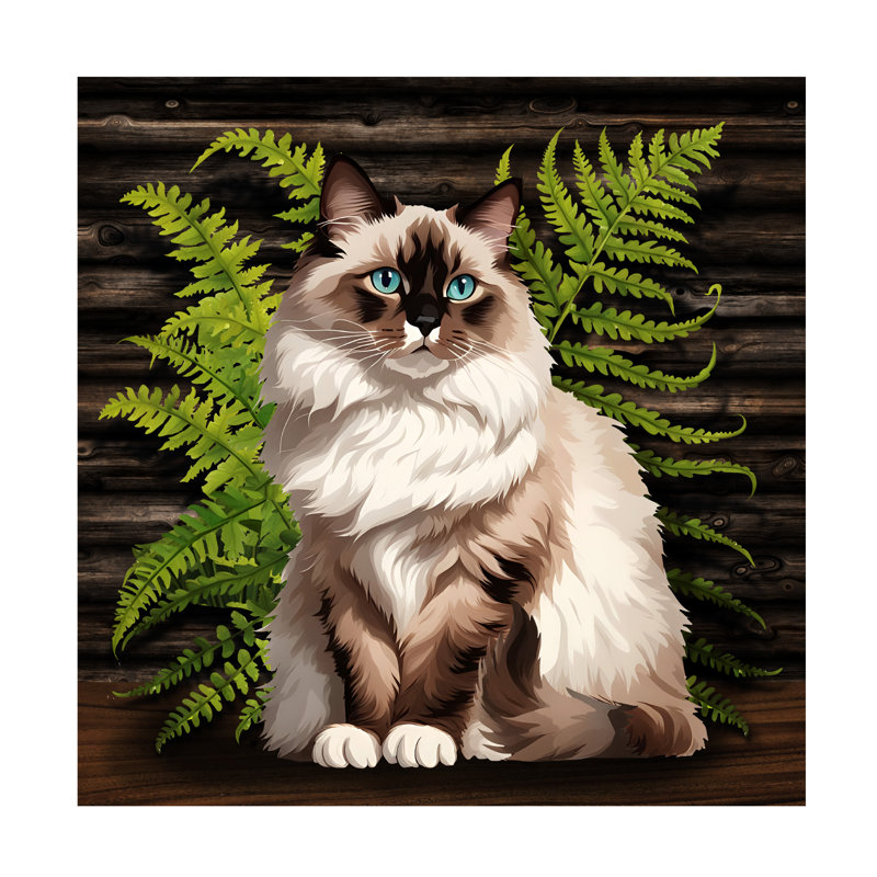 Art sur toile, "Tina Lavoie Portrait of A Ragdoll Cat", H 14 po x l 14 po