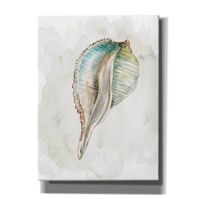 «Pastel Shell I» par Carol Robinson