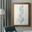 «Botanical Study In Sage III», toile encadrée de qualité supérieure - prête à être accrochée-762282364