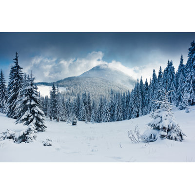 Winter - Wrapped Canvas Print
