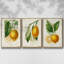 Citron français I 3 pièces-97795856-97795860