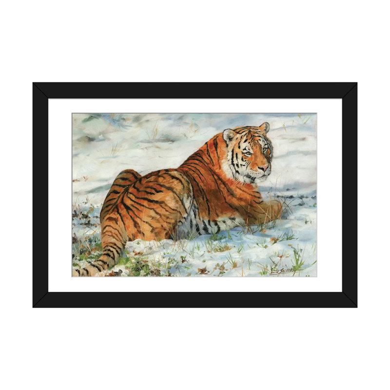 «Tiger in Snow», impression sur toile, H 16 po x l 24 po x P 1 po, Papier d'art encadré noir, Blanc