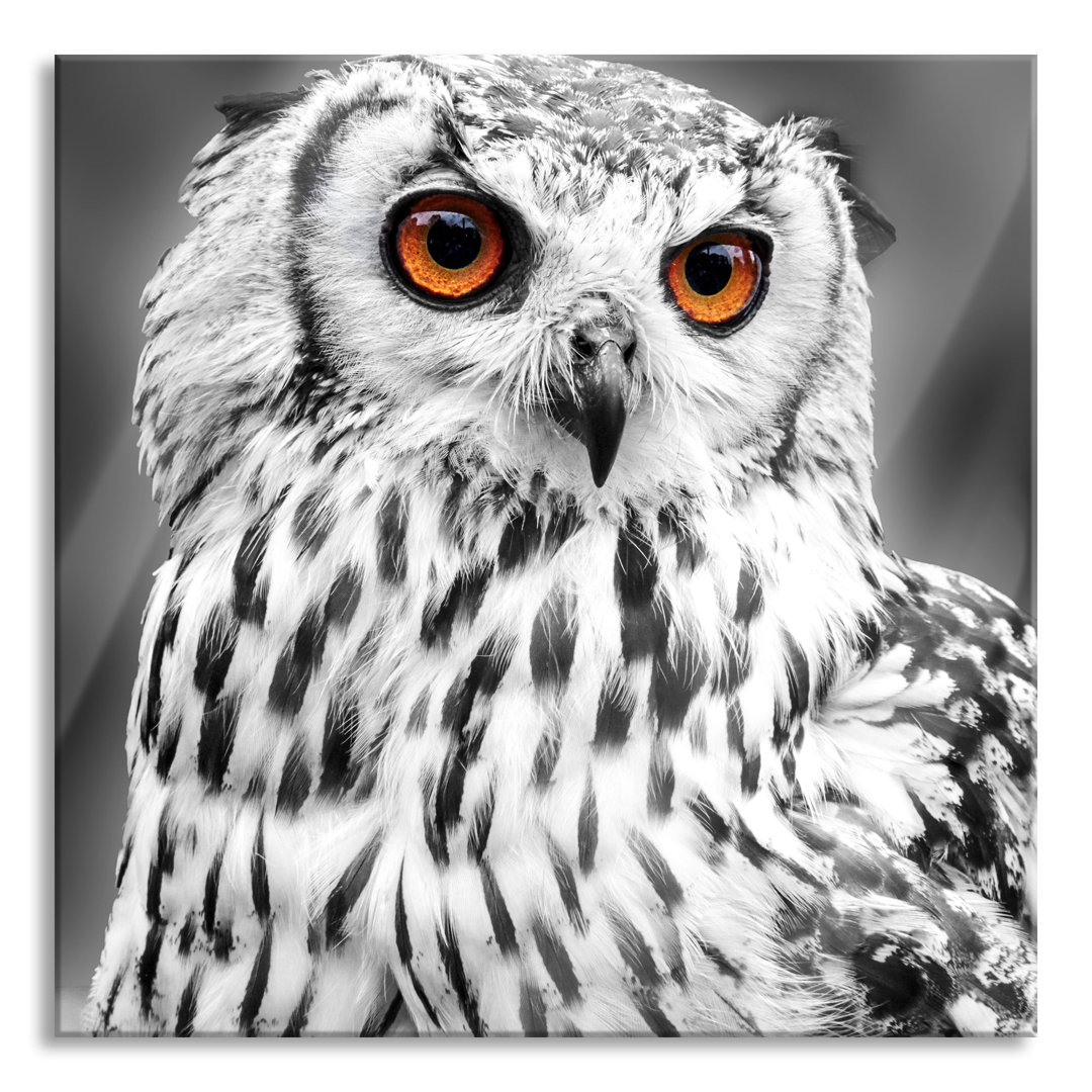 Ungerahmtes Foto auf Glas "Owl with Orange Eyes"