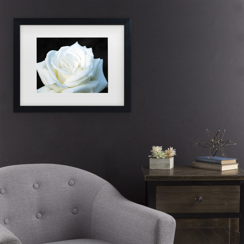 «White Rose II» par Cattima, reproduction de photo sur toile, H 11 po x l 14 po x P 0,5 po, Cadre noir