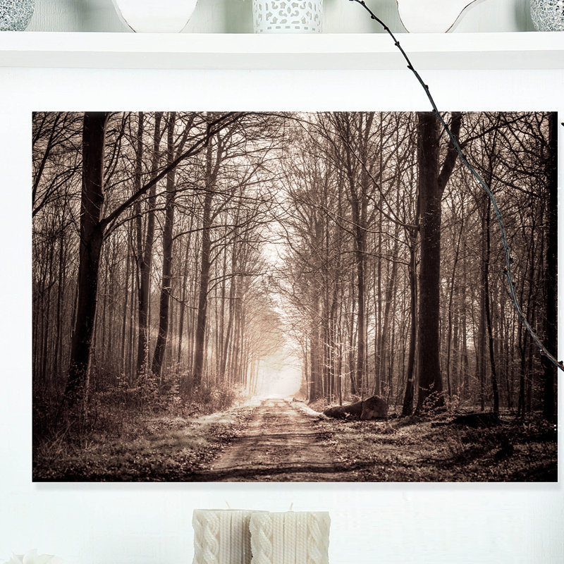 «Forest Trail in Sepia», reproduction de photo sur toile tendue, H 16 po x l 32 po x P 1 po, Toile tendue
