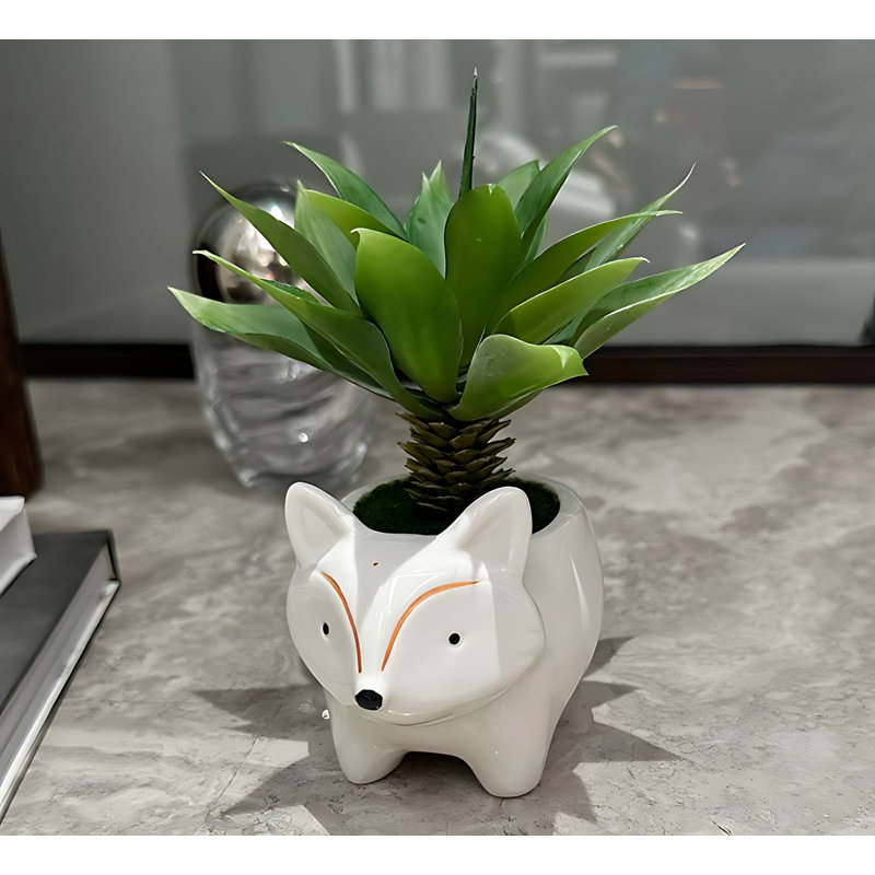 Bonsai 6,69 po