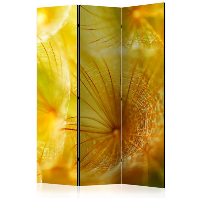 Kusan 172cm H Folding Room Divider