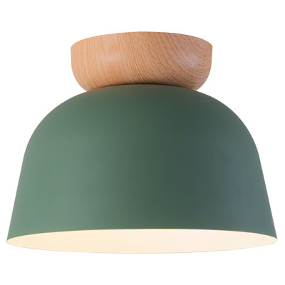 1-light Chic Metal Dome Flush Mount
