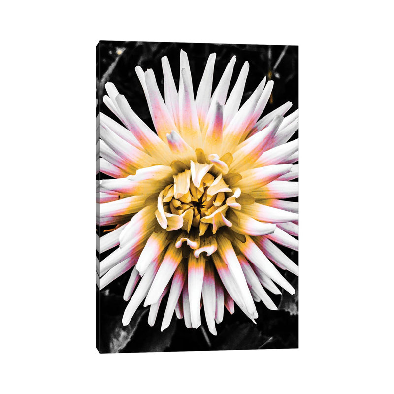 Colour Pop Yellow by Heidi Bannon - Wrapped Canvas Print, 30.48cm H x 20.32cm W x 1.905cm D