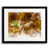Black Framed Paper is unavailable