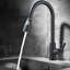 Belfry Kitchen Passaic Kitchen Faucet