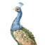 Peacocks Animals Figurines & Sculptures