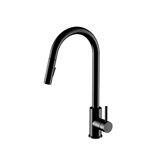 Trova Pull Down Single Handle Kitchen Faucet with Accessories