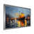 Silver Single Picture Framed