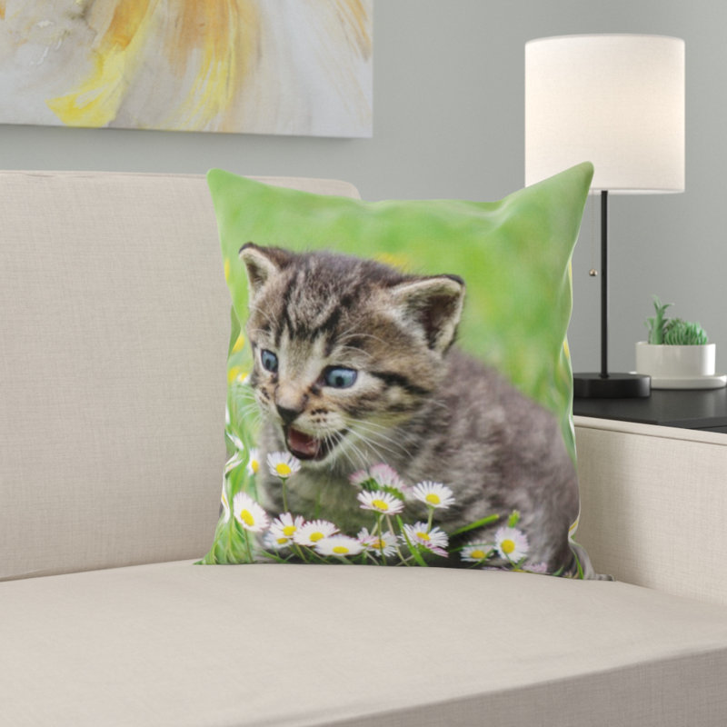 Coussin kitty