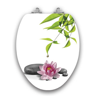 Art Of Acryl Elongated Toilet Seat and Lid