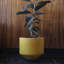 Handmade Ceramic Planter-426443254-426443250
